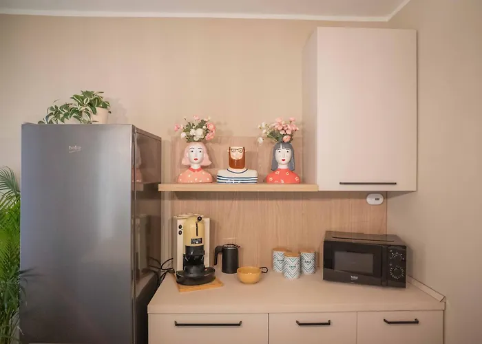 Apartament Casa Mina *